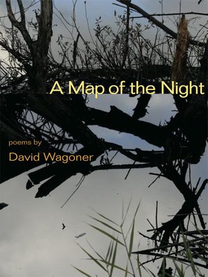 A Map of the Night - ebook